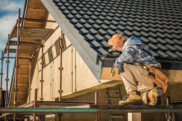 Best Flat Roofing  in Dillon, MT