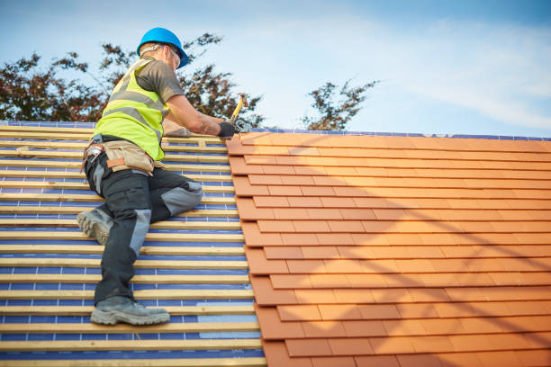 Best Green or Eco-Friendly Roofing Solutions  in Dillon, MT